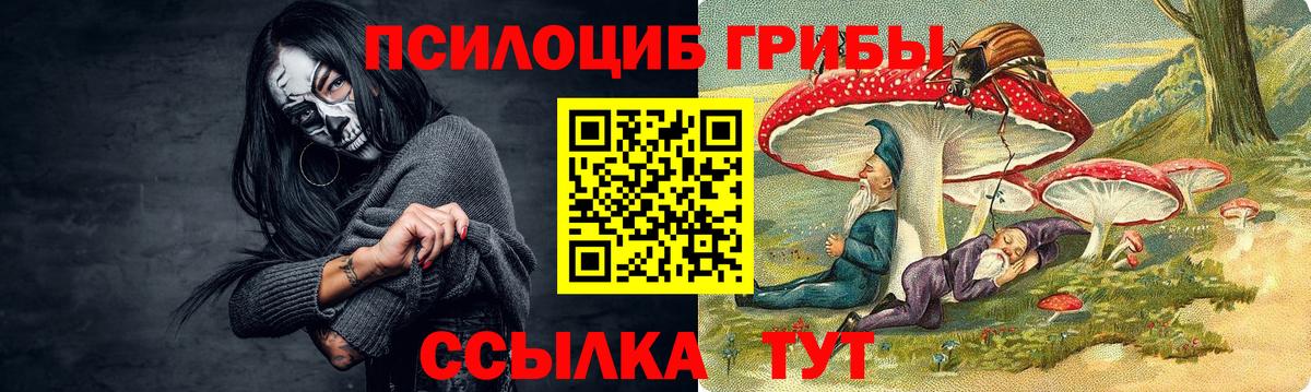 Янаул  Галлюциногенные грибы мухоморы  Вход с VPN 
